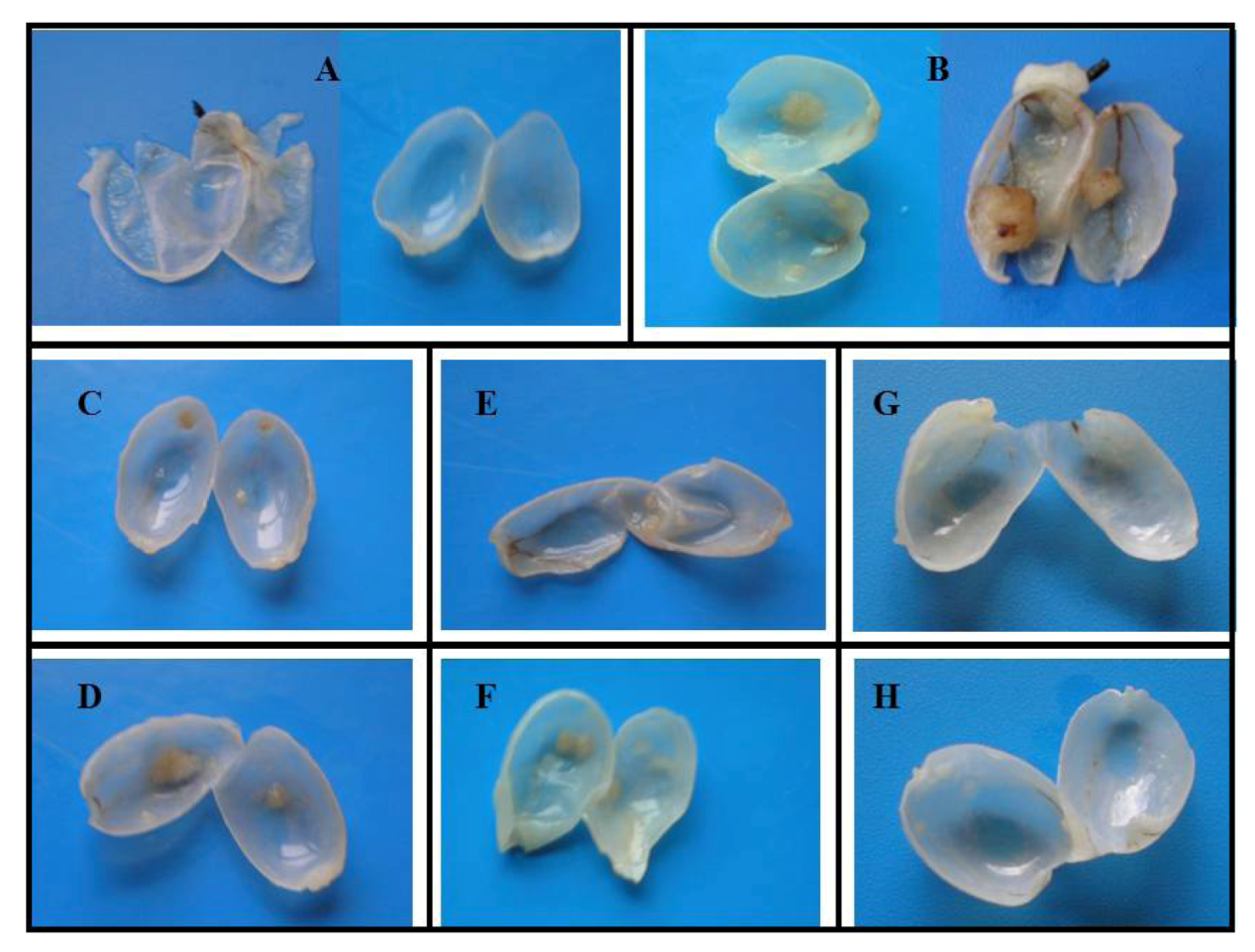 Marinedrugs 10 02661 g002