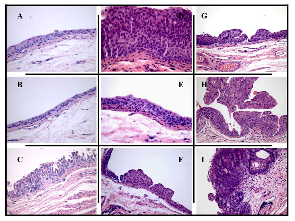 Marinedrugs 10 02661 g003 1024