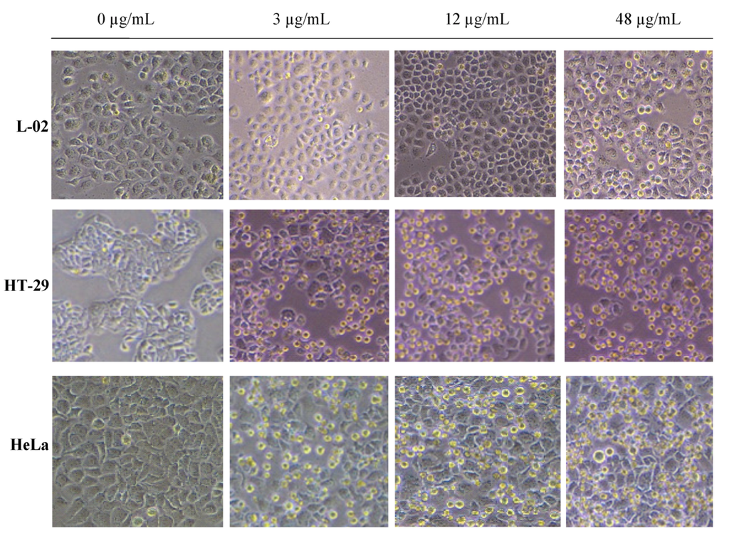 Marinedrugs 10 02782 g004 1024