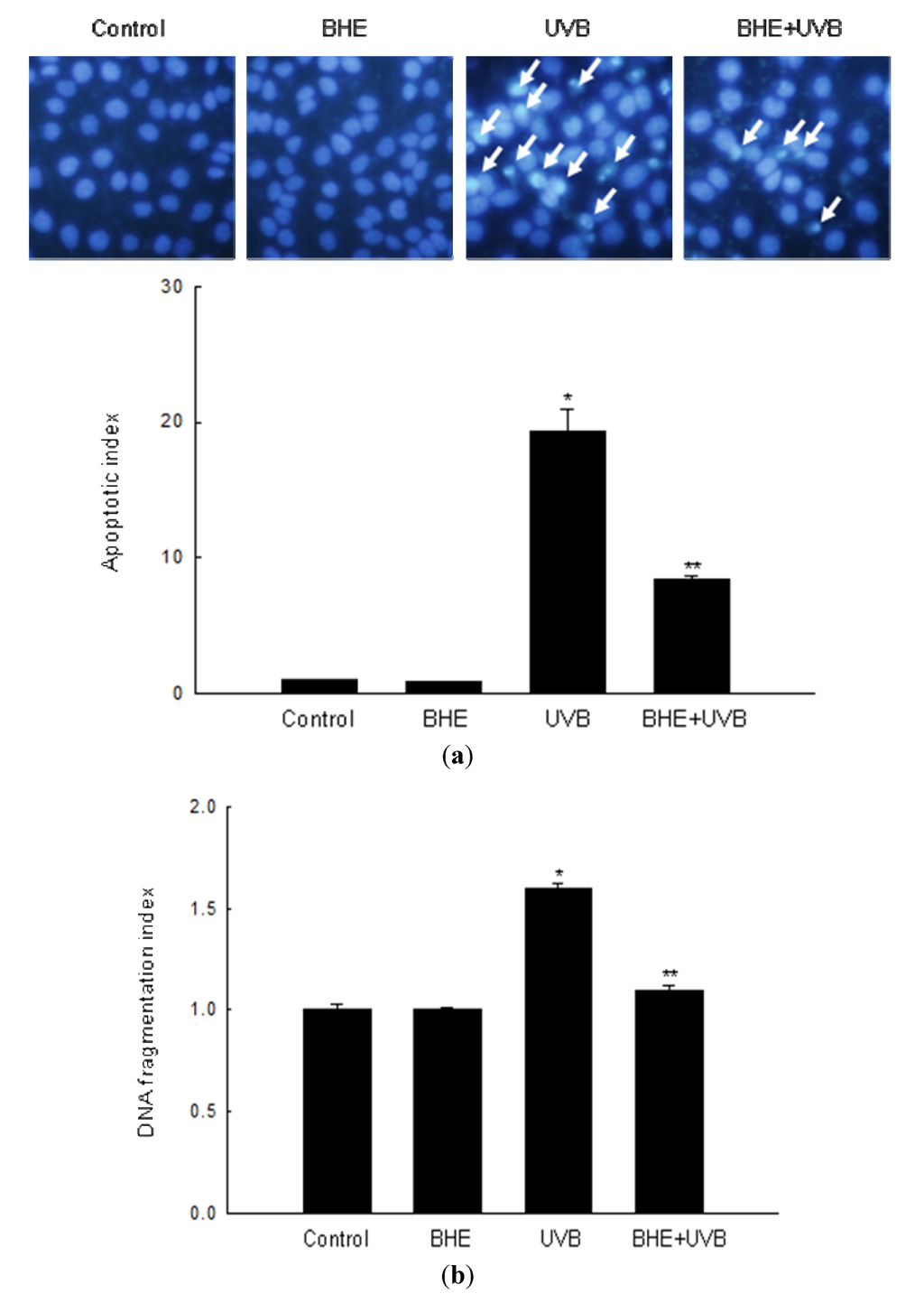 Marinedrugs 10 02826 g002 1024