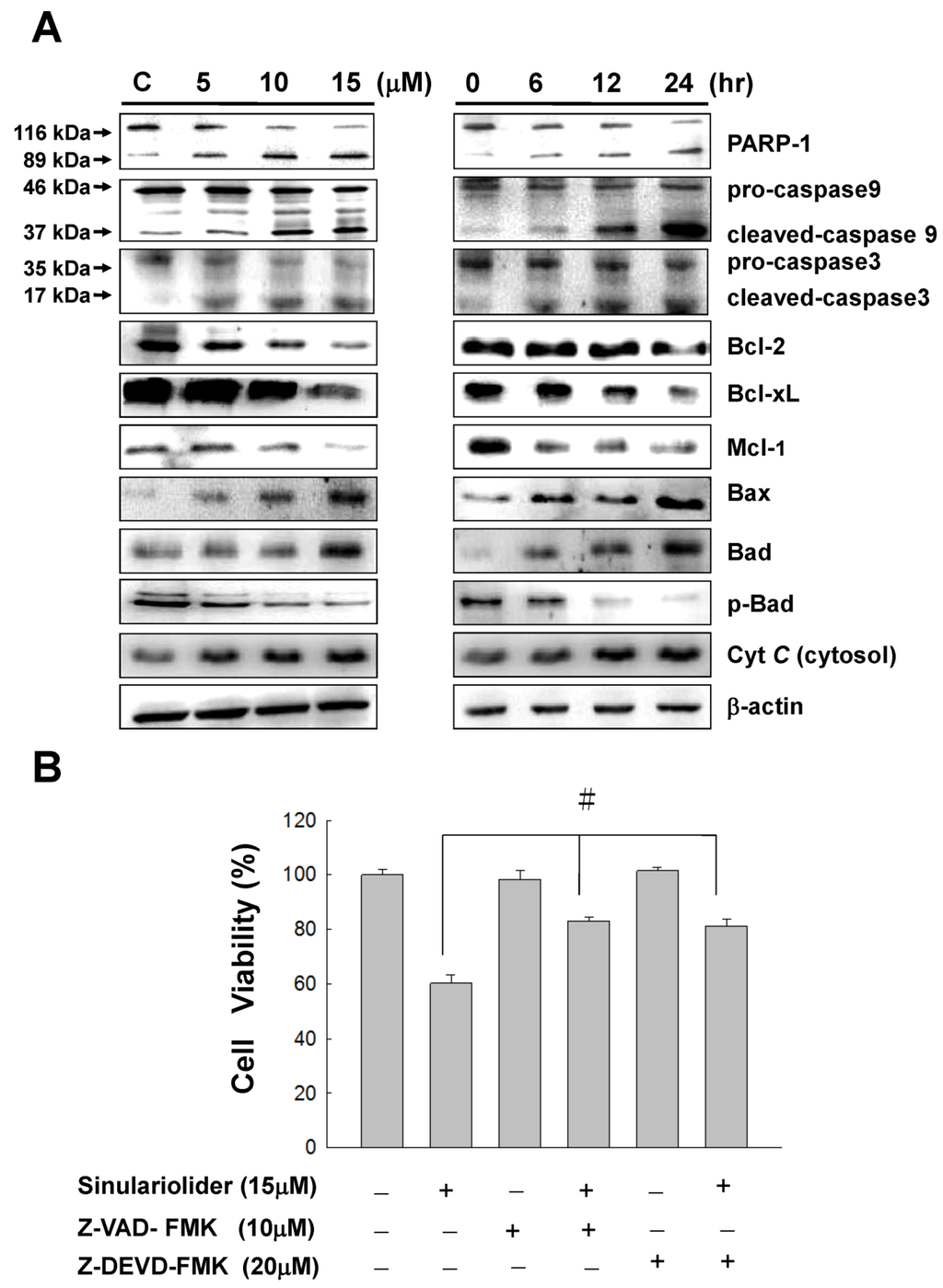 Marinedrugs 10 02893 g005 1024