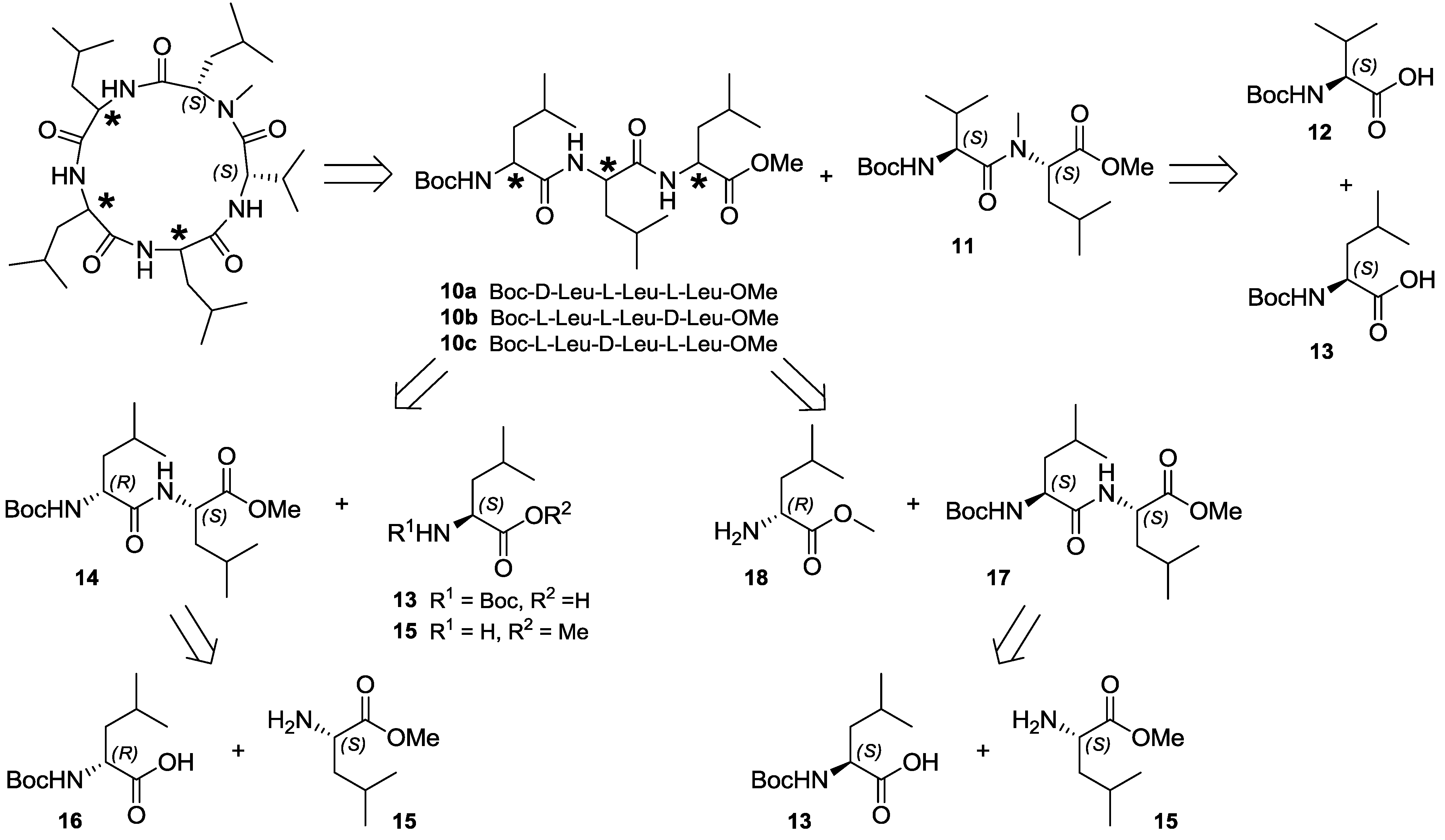 Marinedrugs 10 02912 g006