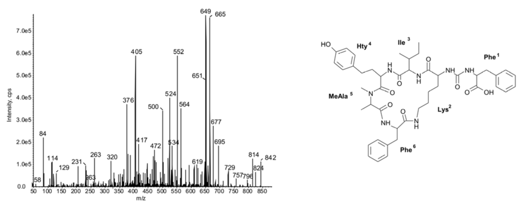 Marinedrugs 11 00001 g003 1024