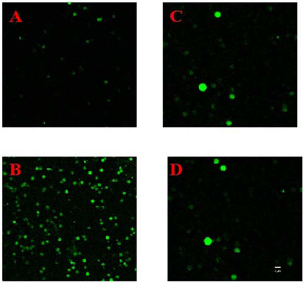 Marinedrugs 11 00067 g004 1024