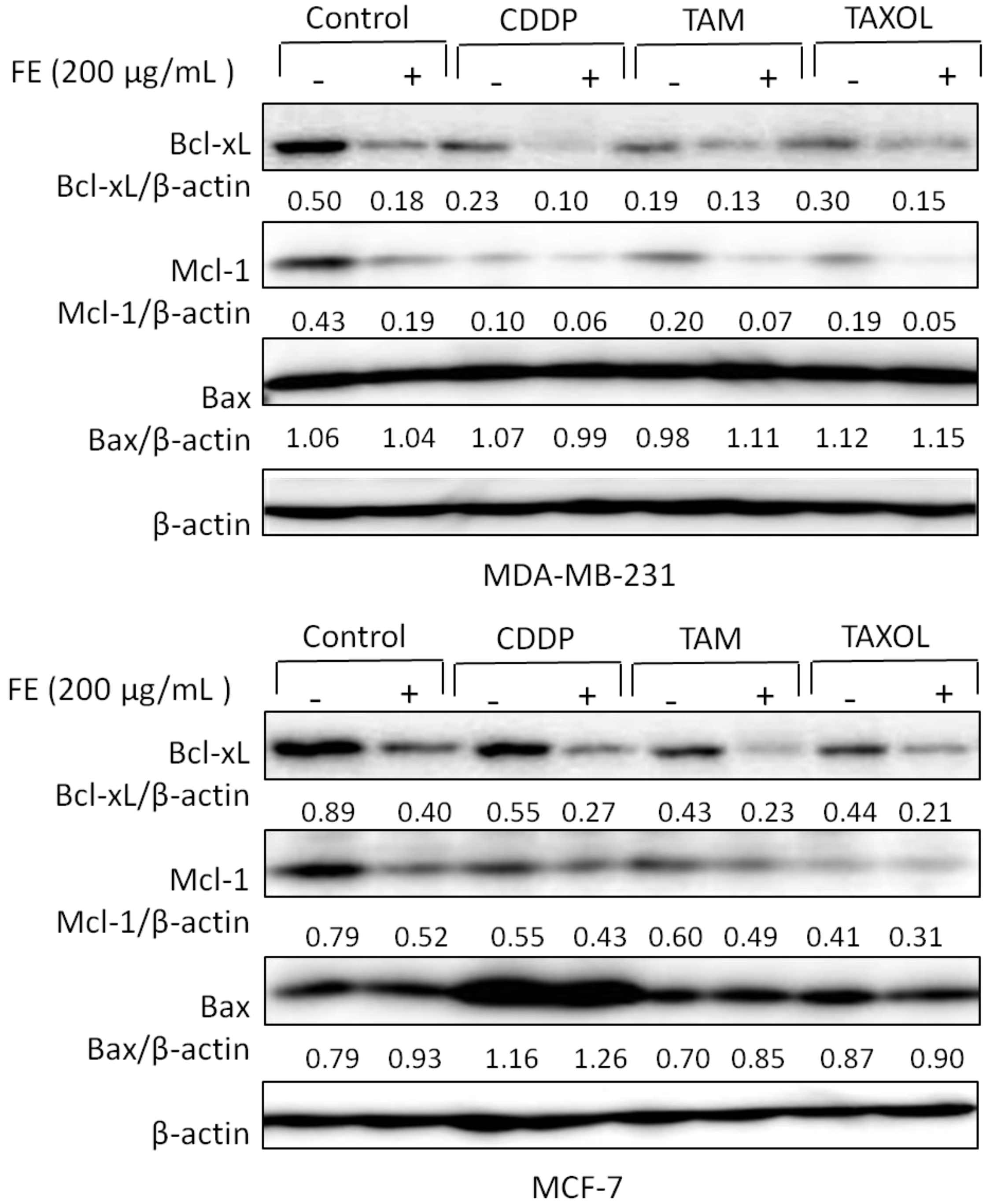Marinedrugs 11 00081 g003