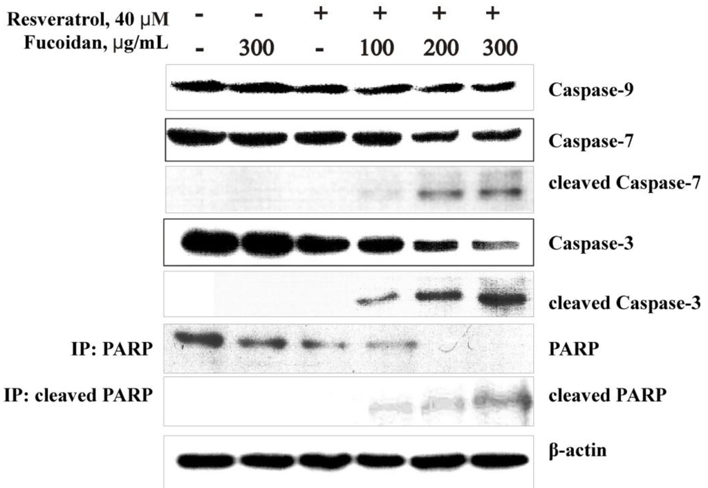 Marinedrugs 11 00194 g004 1024