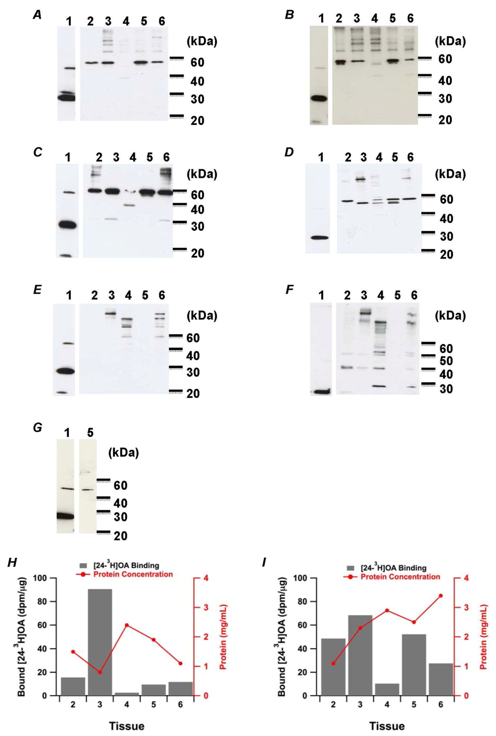 Marinedrugs 11 00300 g002 1024