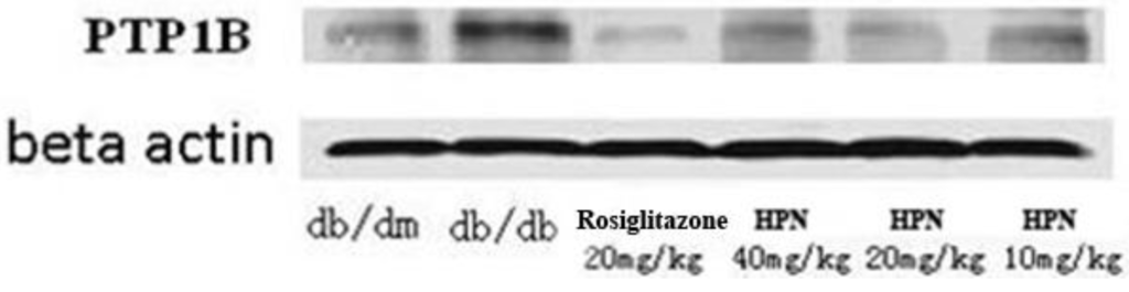 Marinedrugs 11 00350 g003 1024