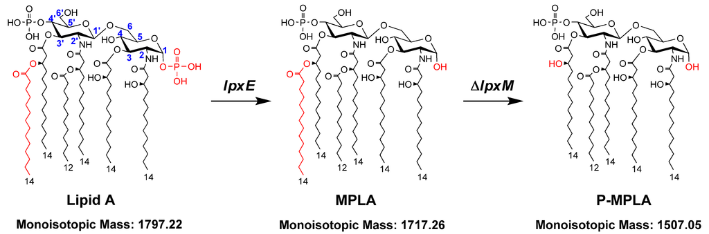 Marinedrugs 11 00363 g001 1024