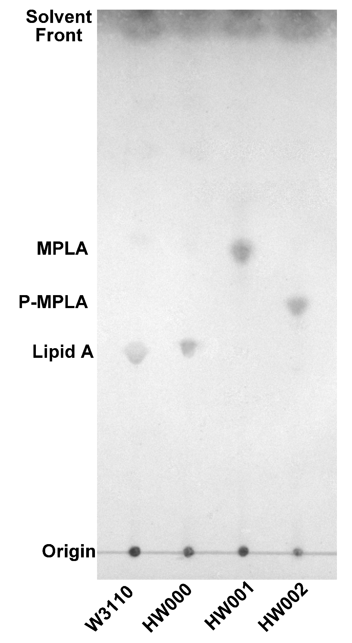 Marinedrugs 11 00363 g004