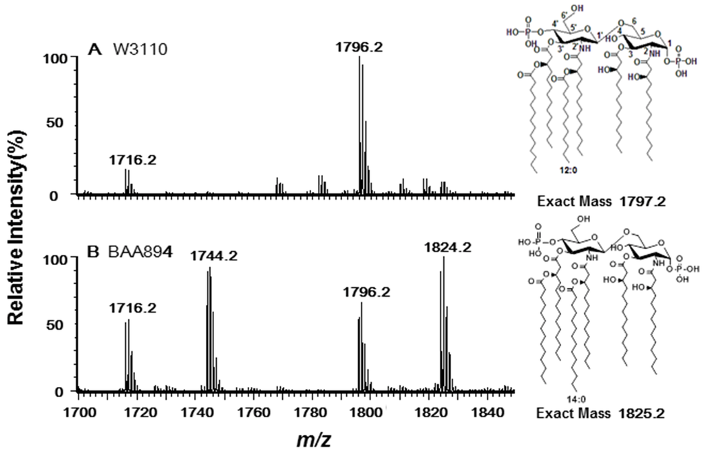 Marinedrugs 11 00377 g001 1024