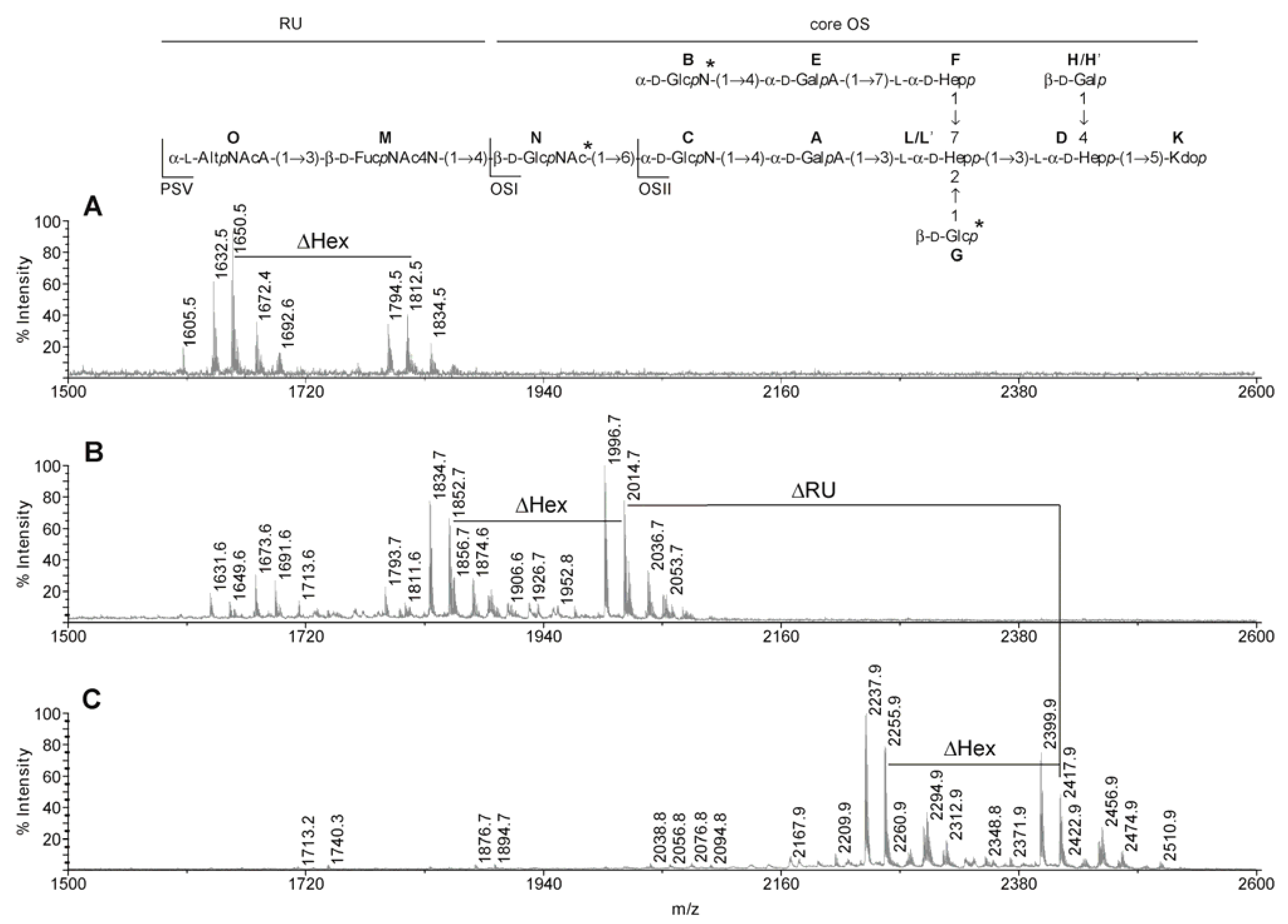 Marinedrugs 11 00440 g001