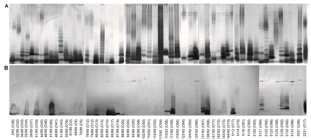 Marinedrugs 11 00440 g003 1024