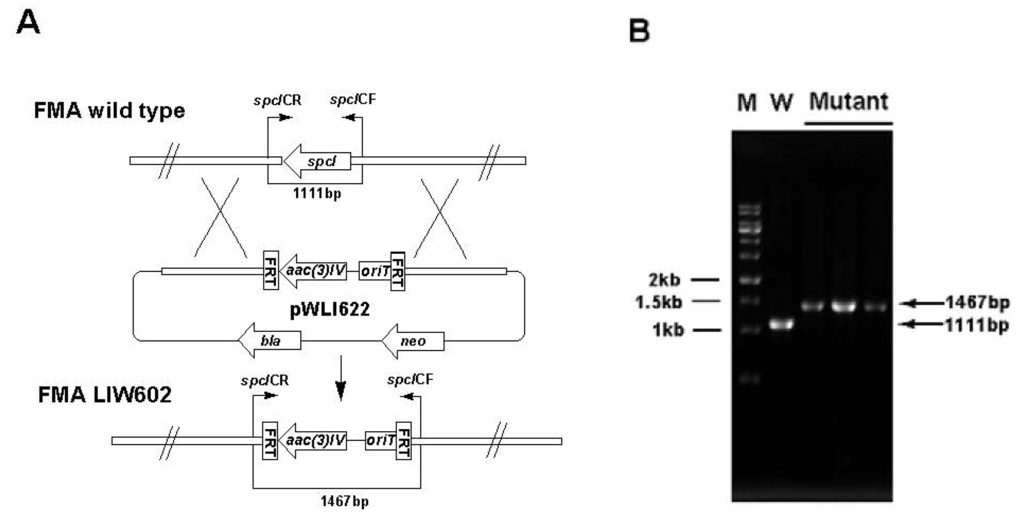Marinedrugs 11 00466 g005 1024