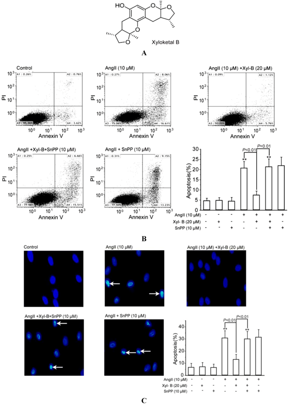 Marinedrugs 11 00504 g001