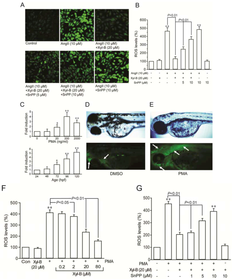 Marinedrugs 11 00504 g002
