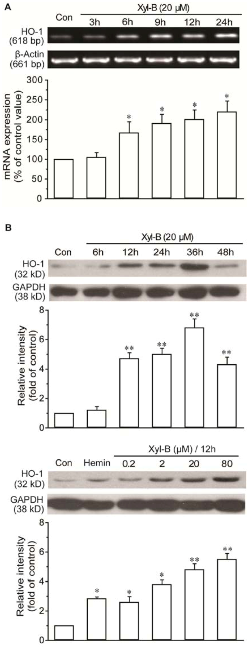 Marinedrugs 11 00504 g003
