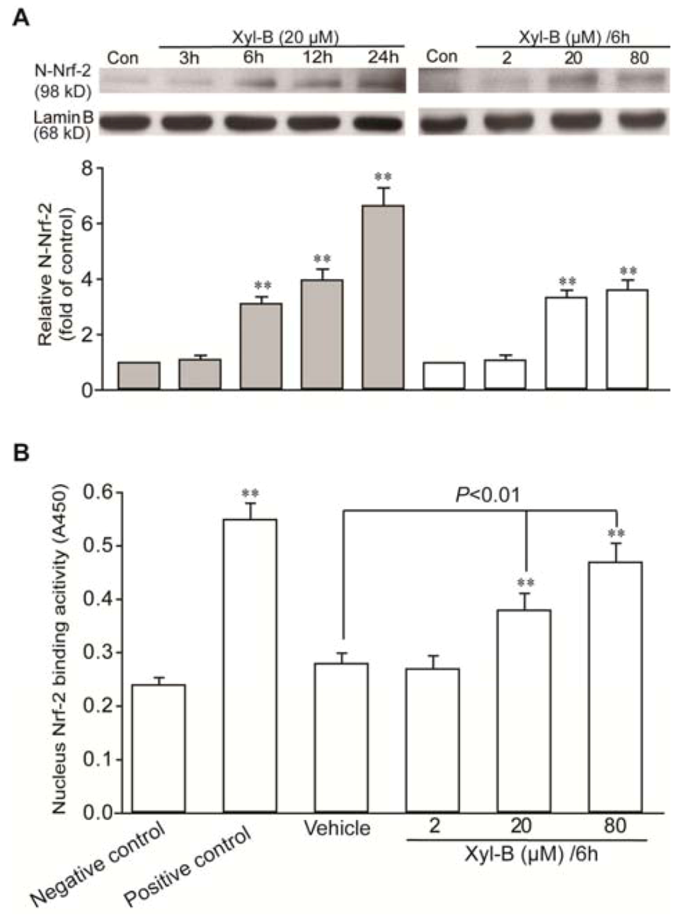Marinedrugs 11 00504 g004 1024