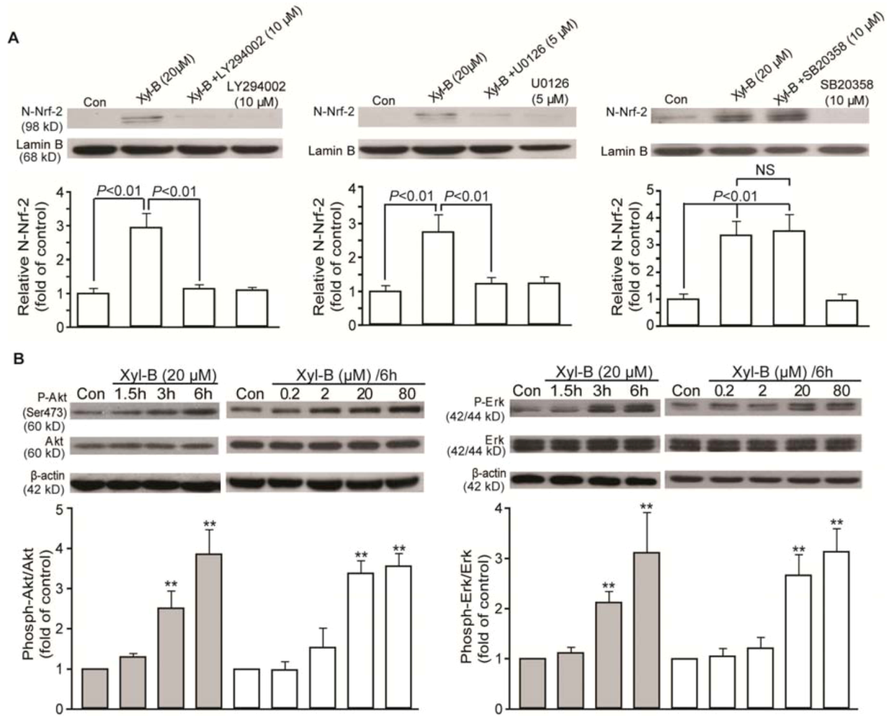 Marinedrugs 11 00504 g005