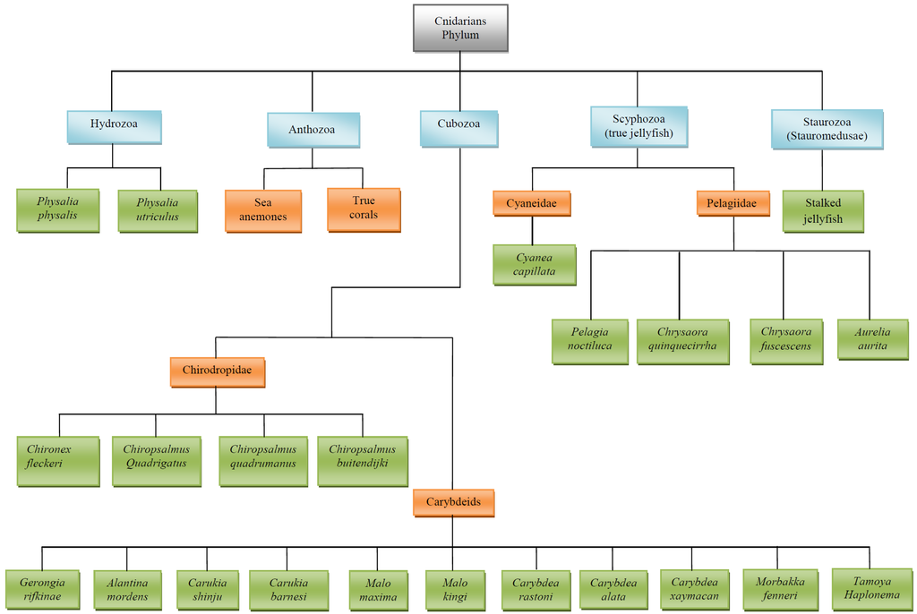 Marinedrugs 11 00523 g001 1024