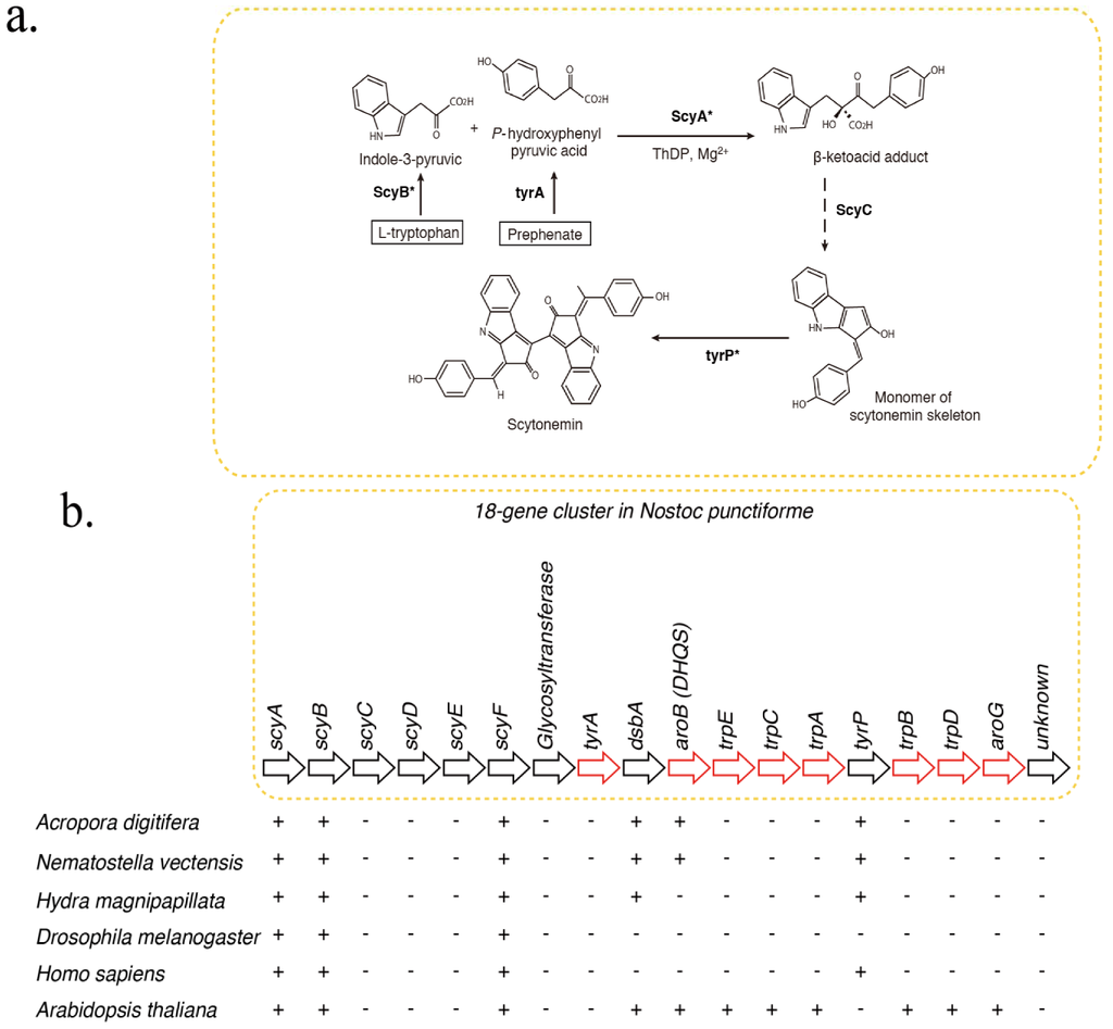 Marinedrugs 11 00559 g001 1024