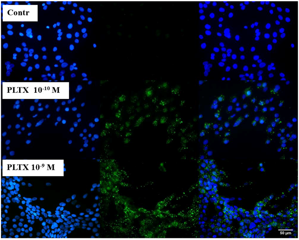 Marinedrugs 11 00584 g001 1024