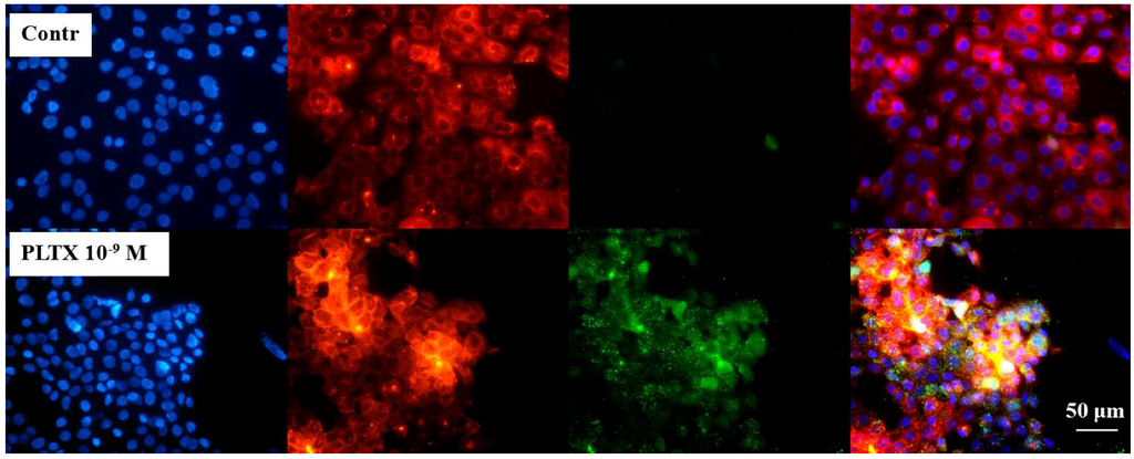 Marinedrugs 11 00584 g002 1024