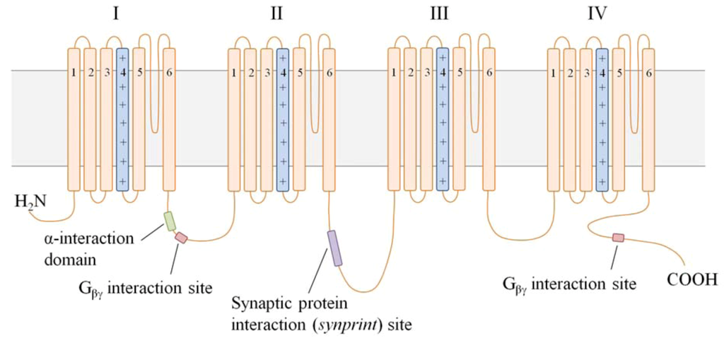 Marinedrugs 11 00680 g003 1024