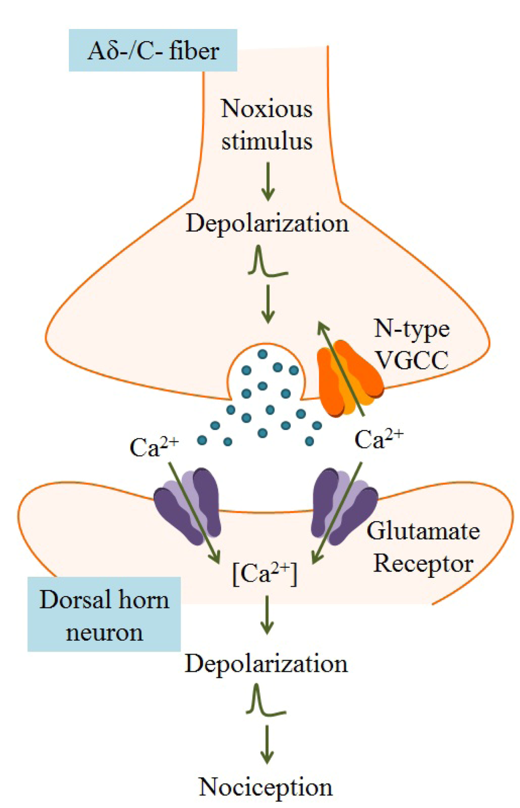Marinedrugs 11 00680 g004 1024