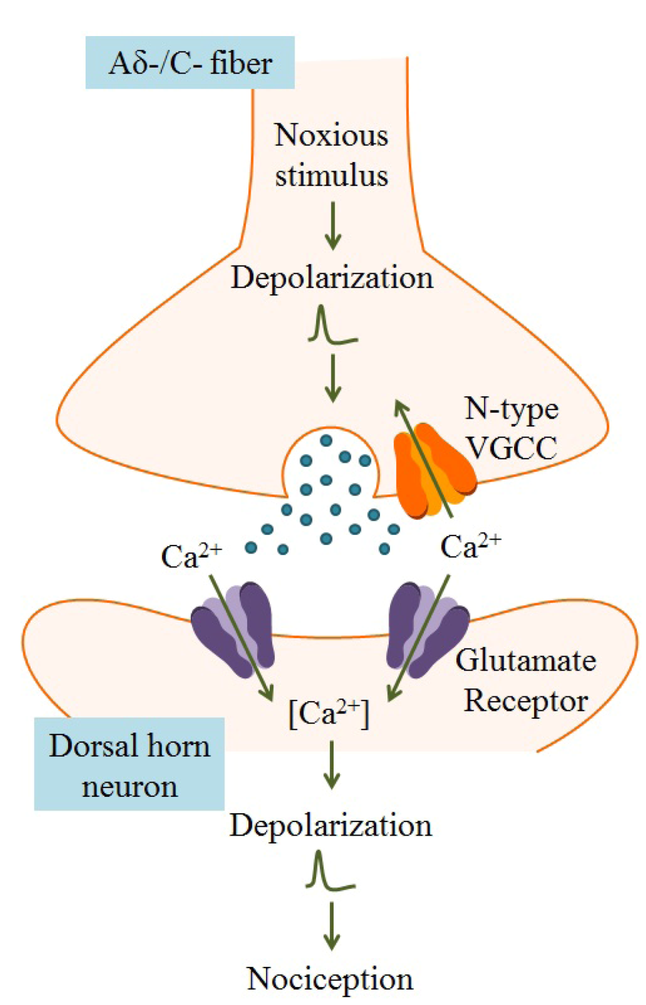 Marinedrugs 11 00680 g004