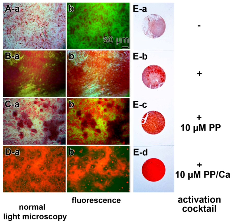 Marinedrugs 11 00718 g001