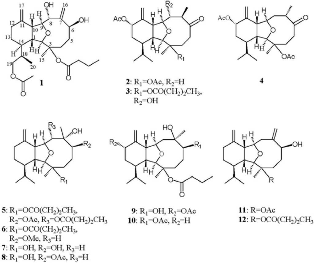 Marinedrugs 11 00788 g005 1024