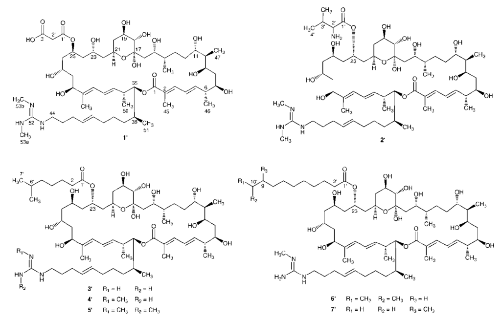 Marinedrugs 11 00817 g004 1024