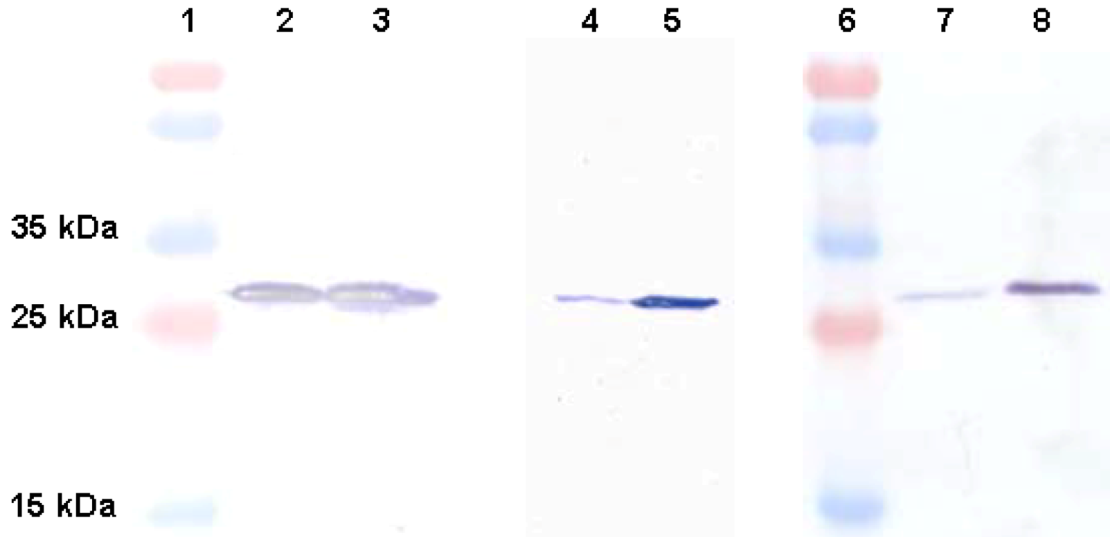 Marinedrugs 11 00881 g002