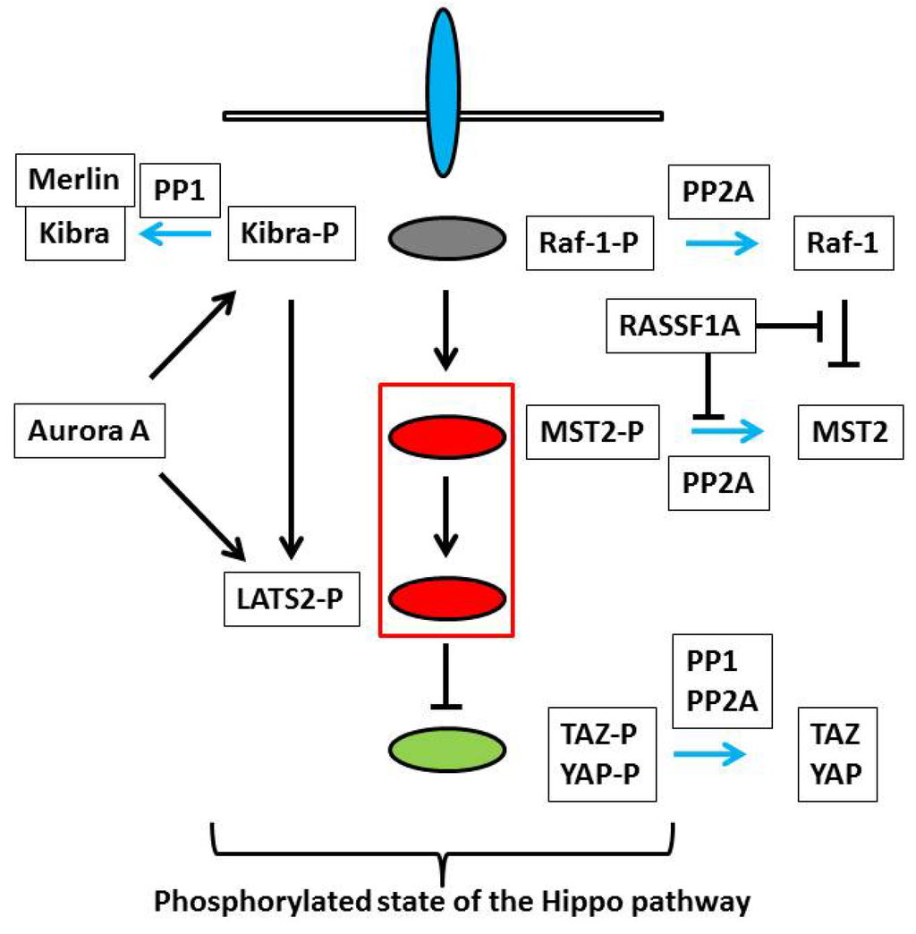 Marinedrugs 11 00896 g002 1024