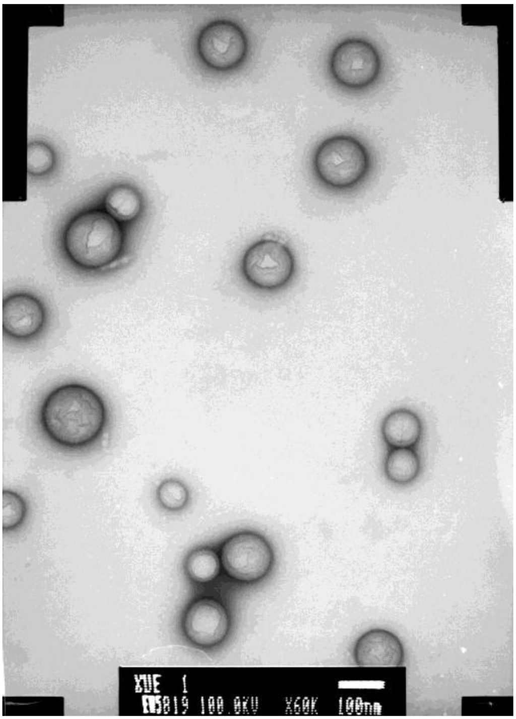 Marinedrugs 11 01113 g002 1024