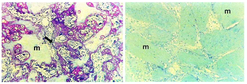 Marinedrugs 11 01203 g001 1024