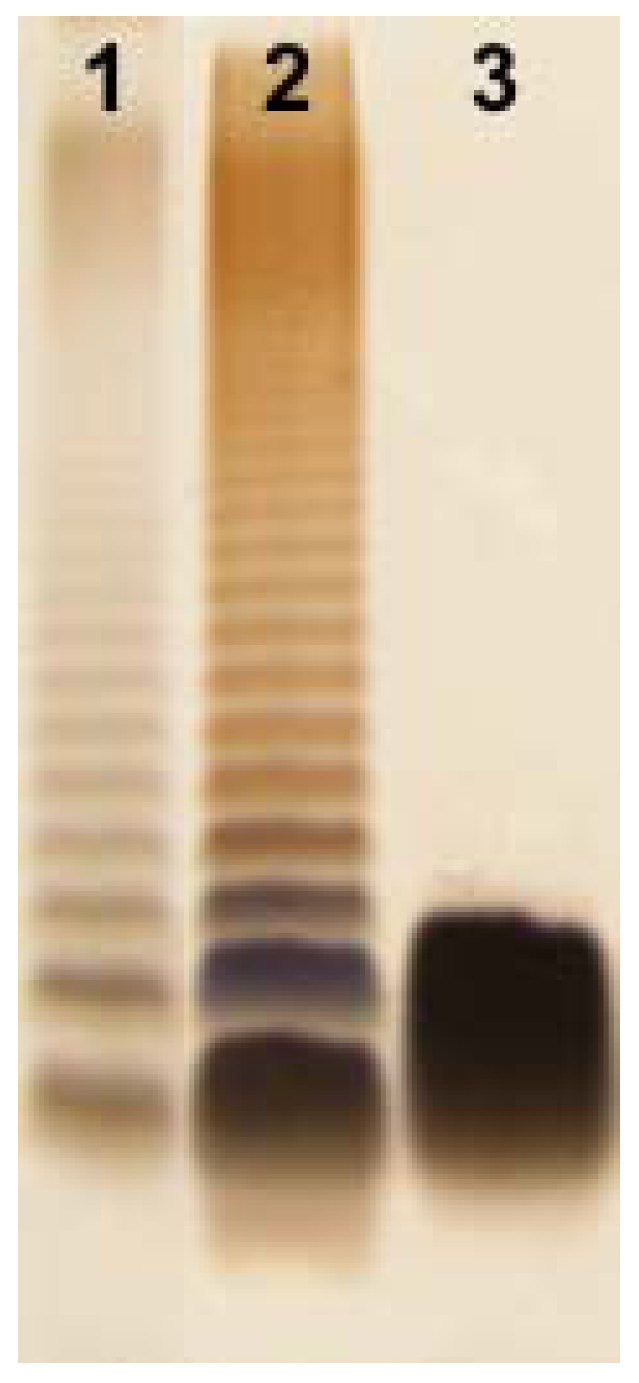 Marinedrugs 11 01235 g001 1024