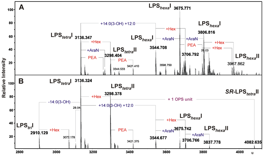 Marinedrugs 11 01235 g002 1024
