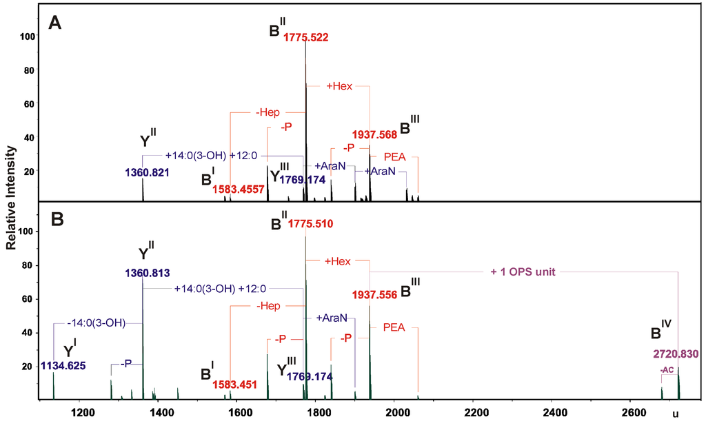 Marinedrugs 11 01235 g003 1024