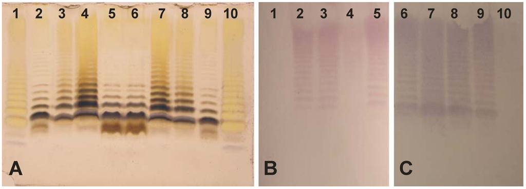 Marinedrugs 11 01235 g007 1024