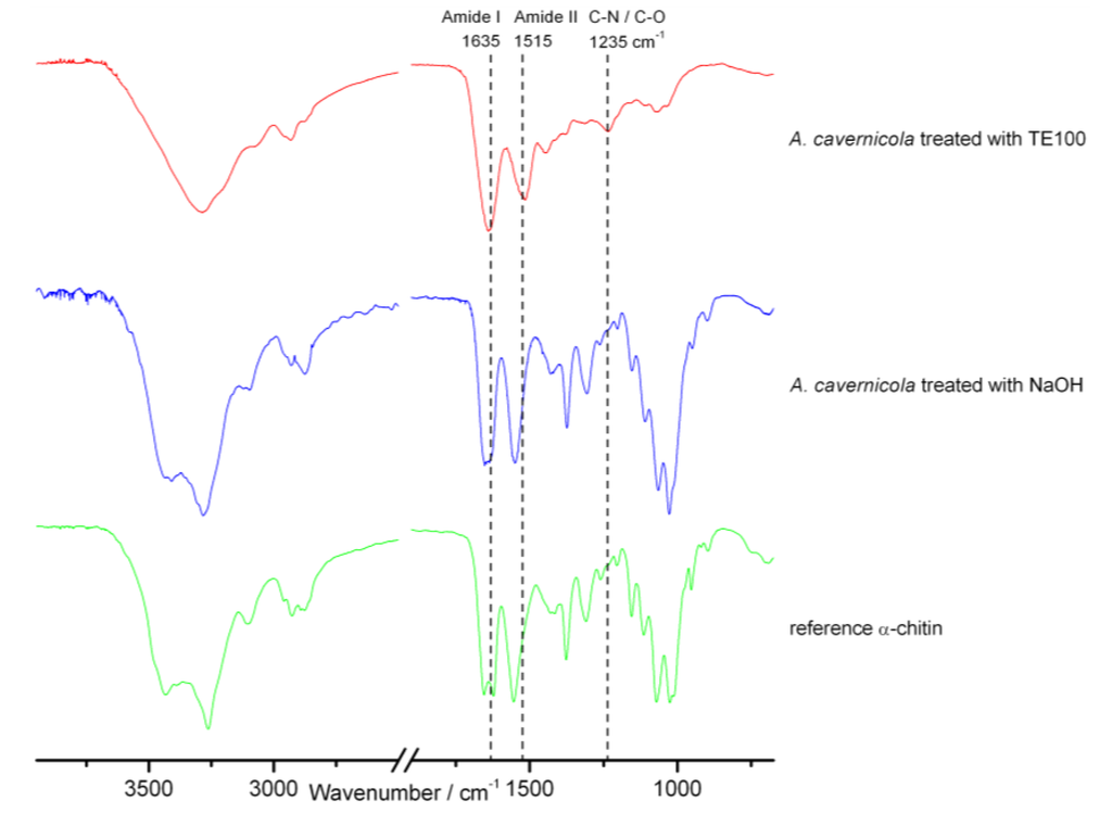 Marinedrugs 11 01271 g003 1024