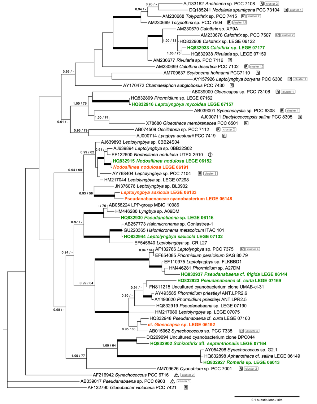 Marinedrugs 11 01316 g001 1024