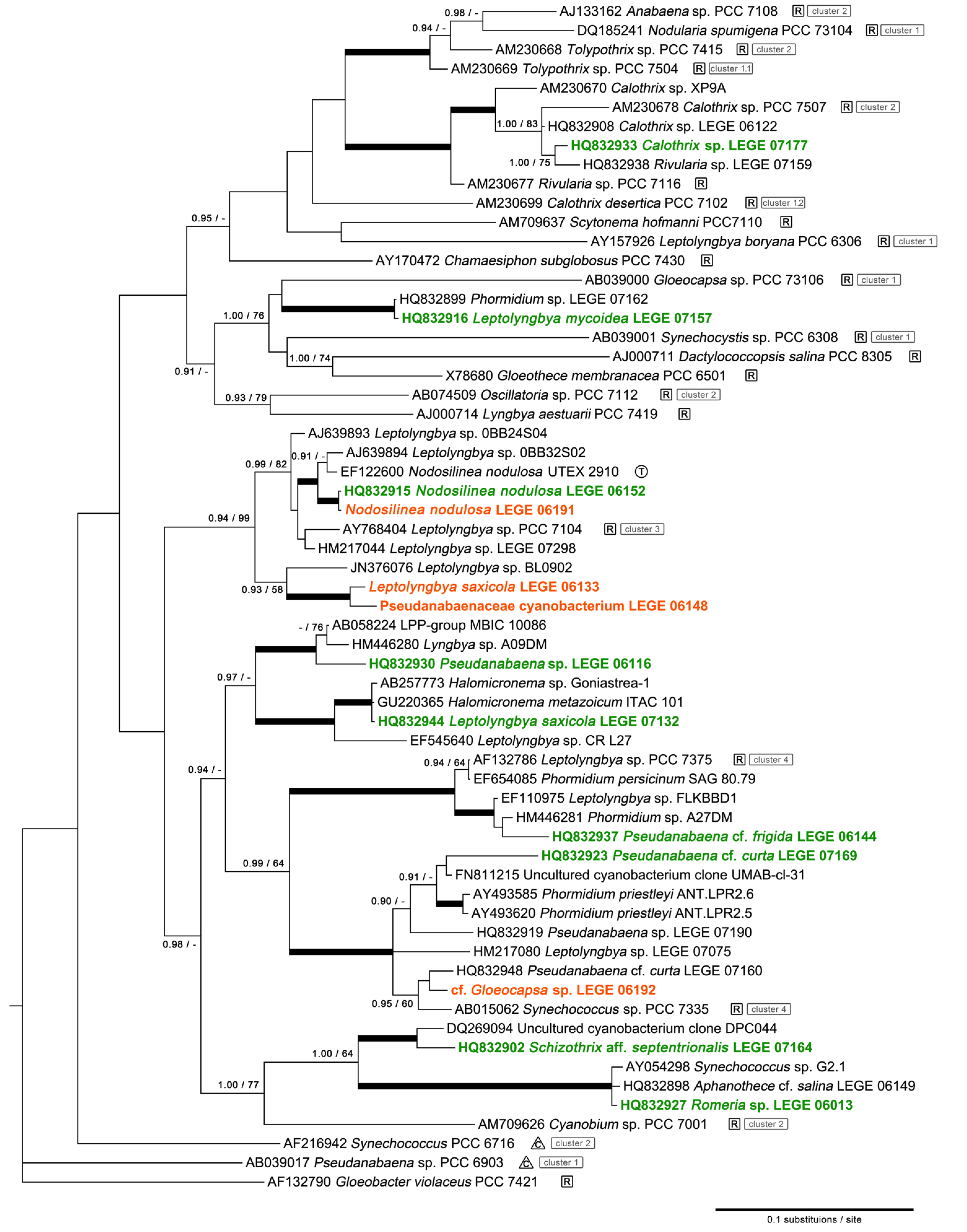 Marinedrugs 11 01316 g001
