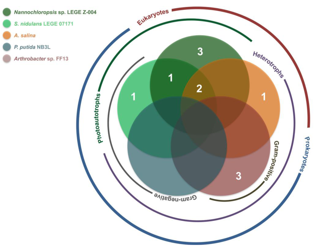 Marinedrugs 11 01316 g002 1024