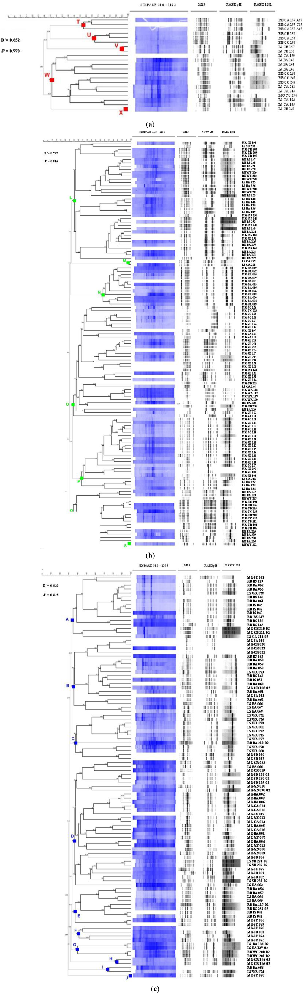 Marinedrugs 11 01506 g002 1024