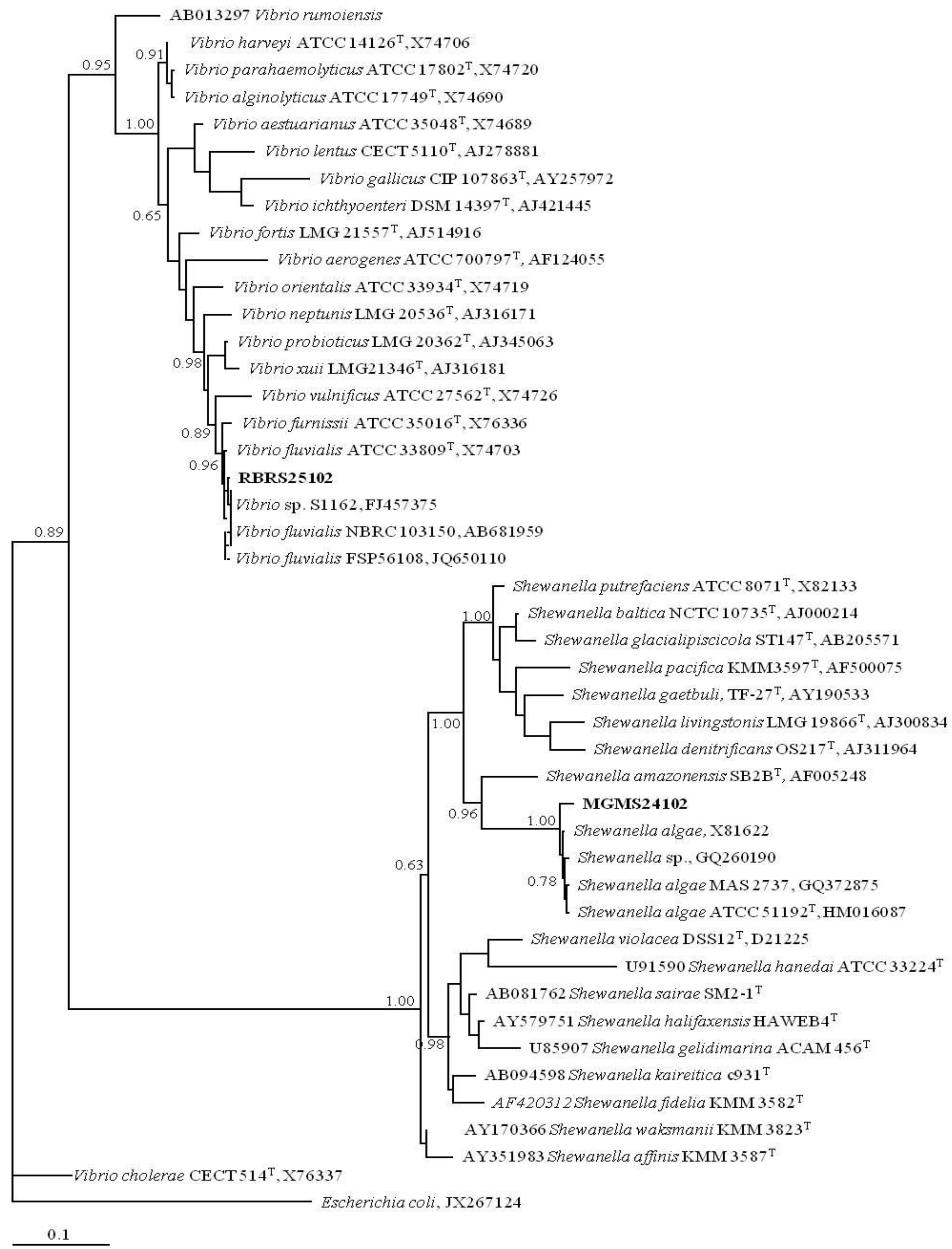 Marinedrugs 11 01506 g004