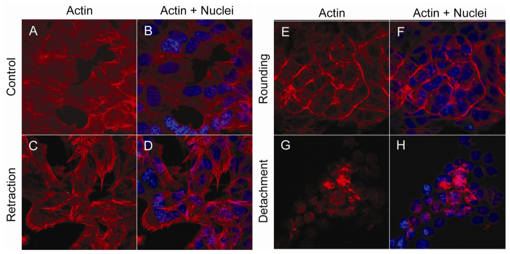 Marinedrugs 11 01763 g001 1024
