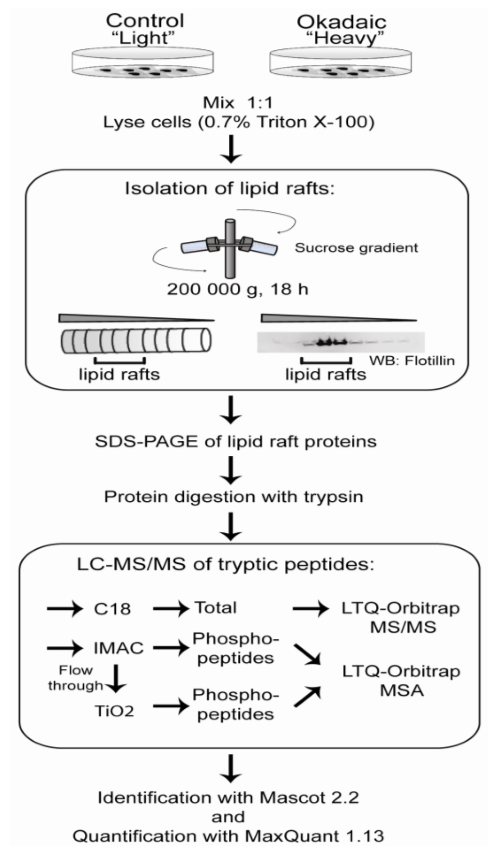 Marinedrugs 11 01763 g002 1024