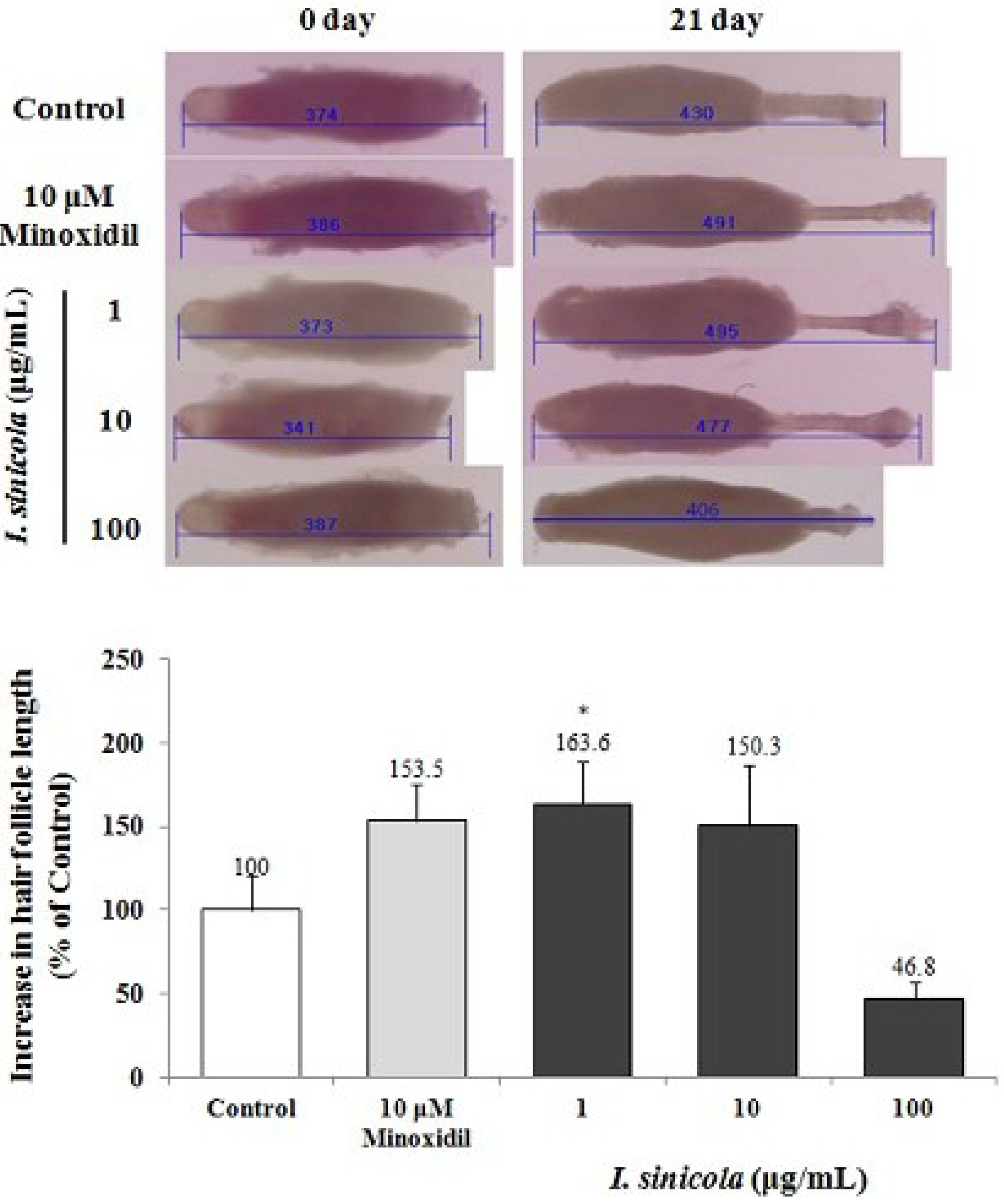 Marinedrugs 11 01783 g001